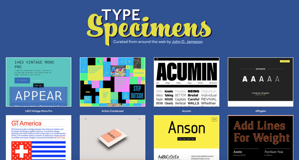 Type Specimens